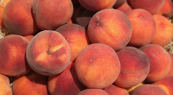 Блюда из персиков - подборка вкусных идей